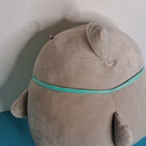 Squishmallow “ Gordon” scuba shark 12"